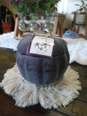 NWT Sea Salt & Spice Pumpkin Candle